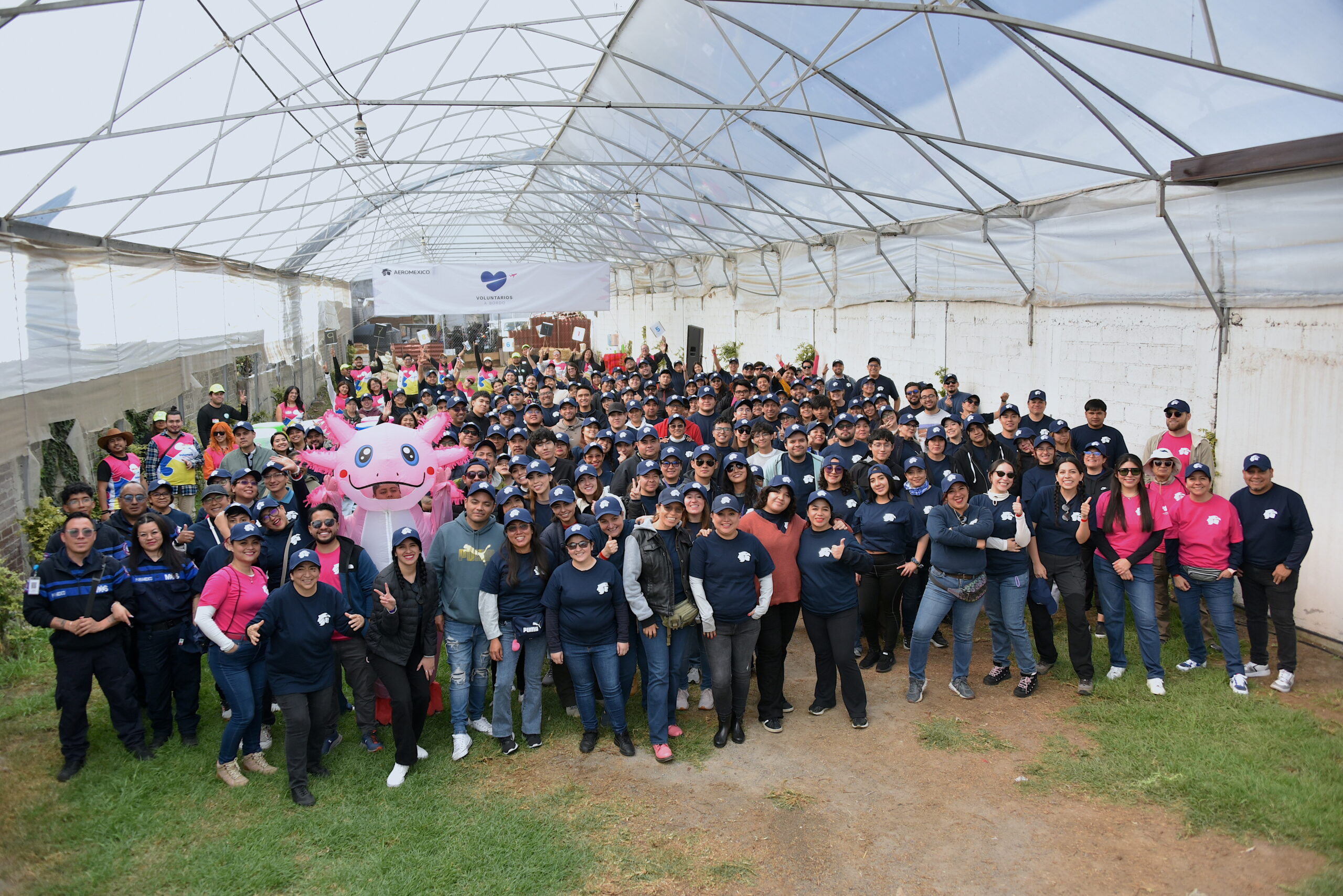 ¿Por qué Voluntarios México es una de las mejores organizaciones para hacer voluntariado?